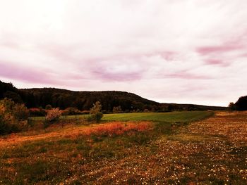 Scenic view of landscape against sky