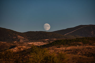 Scenic view of landscape against clear sky at night