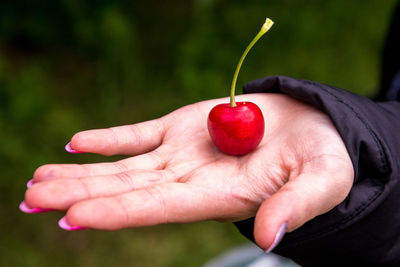 Close-up of hand holding strawberry