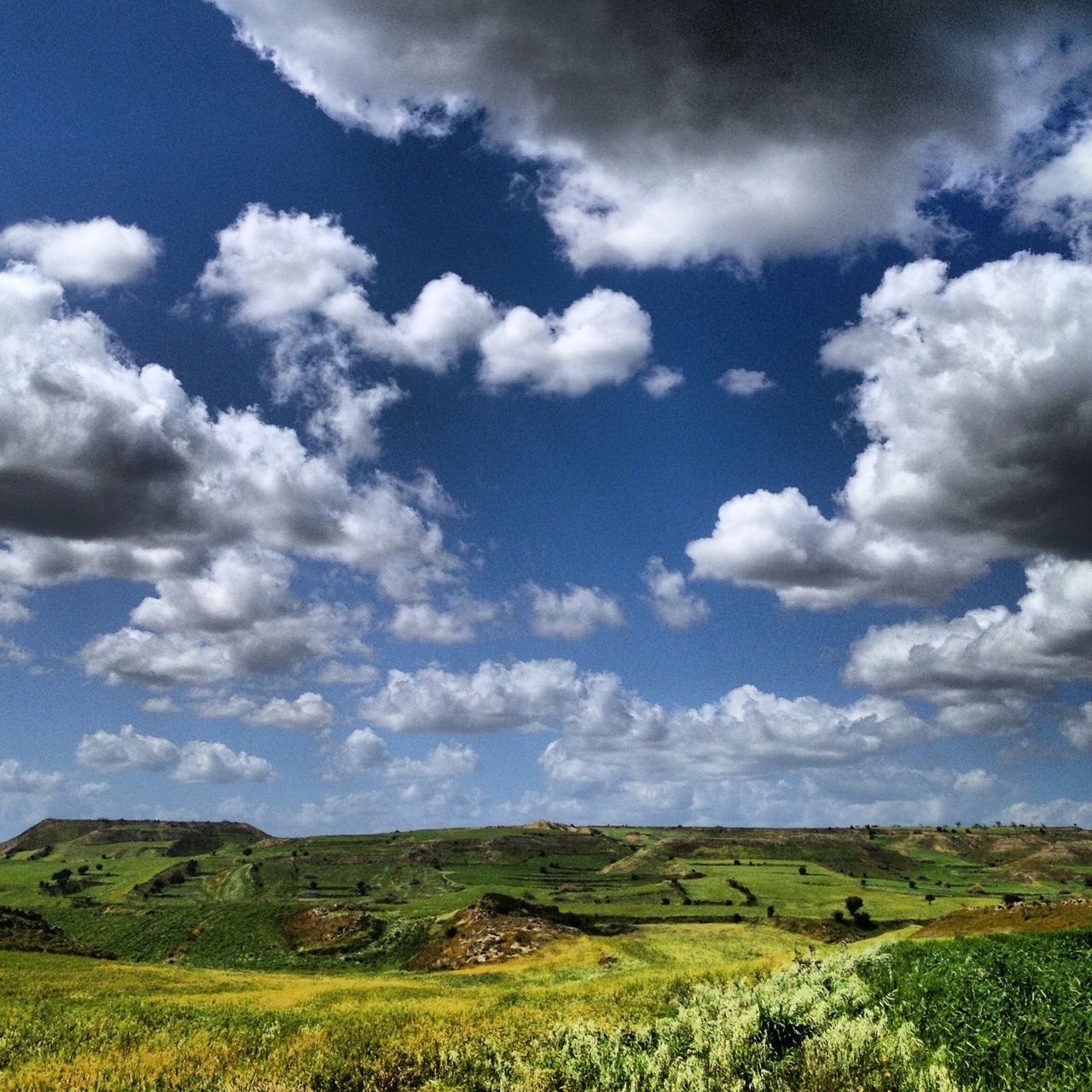 landscape, tranquil scene, sky, field, tranquility, scenics, agriculture, beauty in nature, rural scene, nature, cloud - sky, growth, grass, cloud, farm, cloudy, horizon over land, crop, green color, idyllic