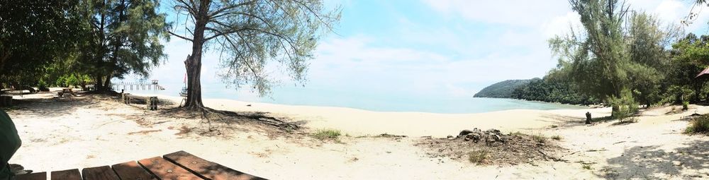 Panoramic view of trees on landscape against sky