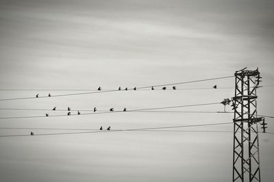 Low angle view of power lines