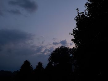 Low angle view of silhouette trees against sky at night