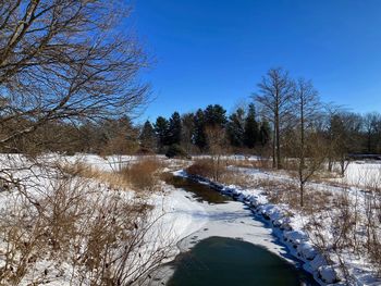 winter