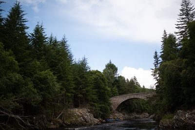 Scenic view of forest against sky