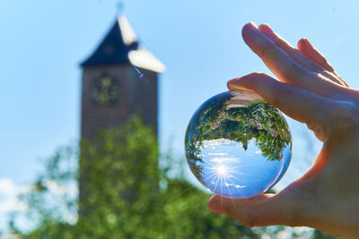 Cropped image of person holding glass against trees