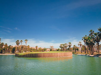 Island and palm trees at a golf course