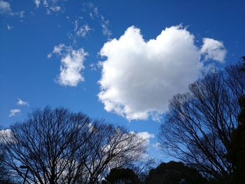 Low angle view of trees against blue sky