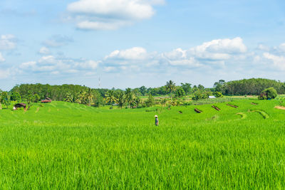 Scenic view of field against sky