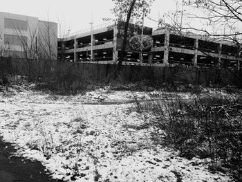 Bare tree in front of building