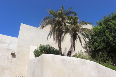 Low angle view of palm trees against clear blue sky