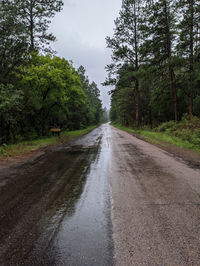 Wet road amidst trees in forest