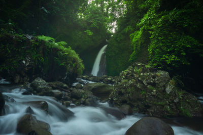 Indonesian scenery, green tropical forest waterfall when the sun is shining