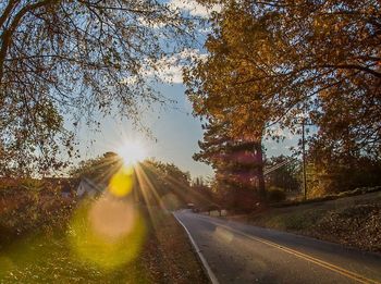 Road passing through forest at sunset