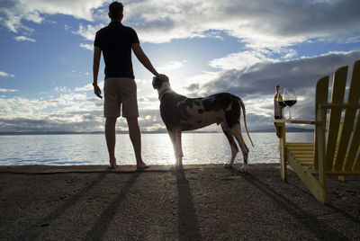 Dog standing on shore against sky