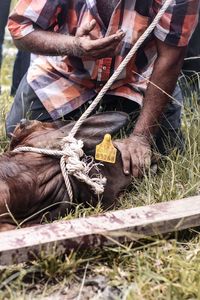 Man working on field