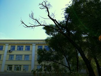 Low angle view of bare tree against sky