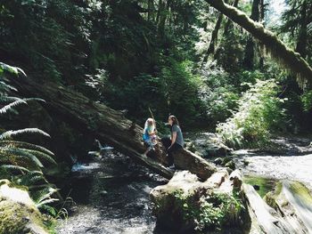 People enjoying in river amidst trees in forest