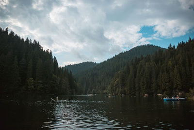 Scenic view of river in forest against sky