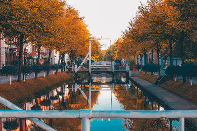 Bridge over river in park