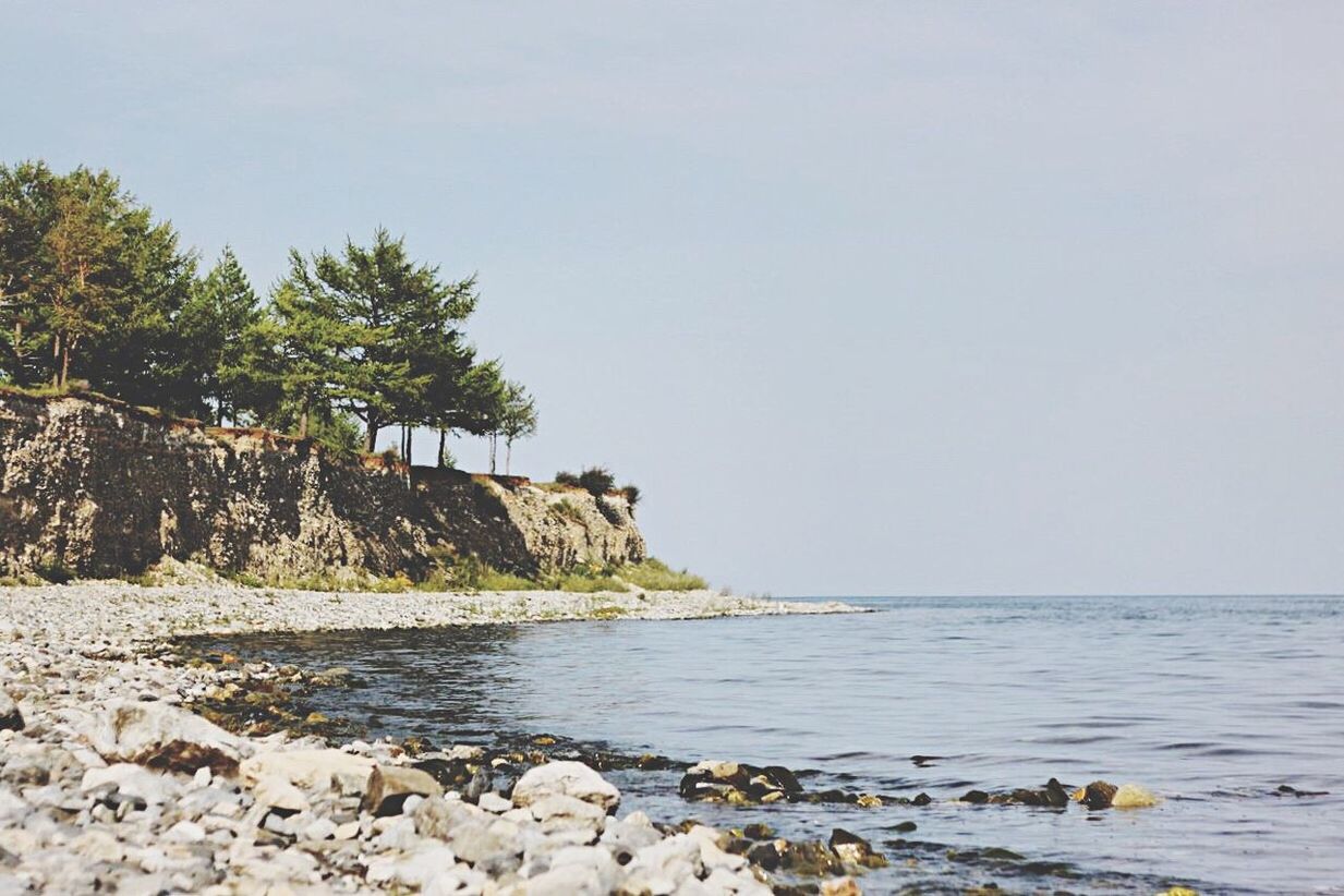 sea, water, tranquil scene, scenics, tranquility, copy space, tree, clear sky, beauty in nature, horizon over water, nature, shore, cliff, non-urban scene, day, remote, calm, coastline, vacations, outdoors, seascape, no people, rock formation, rock, coastal feature, majestic, surface level