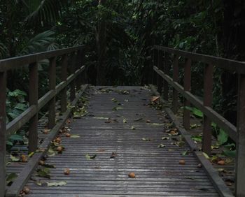 Wooden footbridge in forest