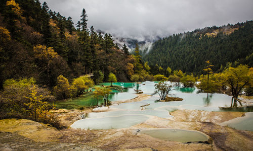 Scenic view of lake by trees against sky