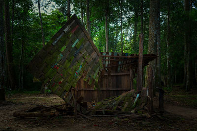 Abandoned house amidst trees in forest