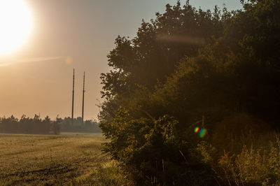 Trees on field against sky during sunset