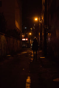 People walking in illuminated city at night