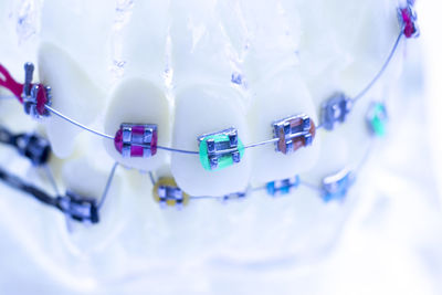 Close-up of artificial teeth