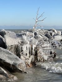 Scenic view of sea against clear sky