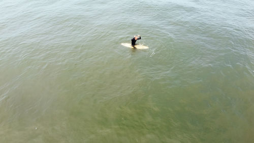 High angle view of person swimming in sea