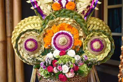 Close-up of multi colored flowers