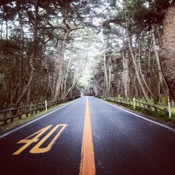 Road passing through forest