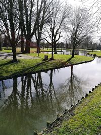 Reflection of trees in lake against sky in park