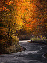 Road amidst trees in forest during autumn