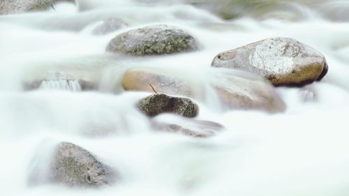 Close-up of stones in water