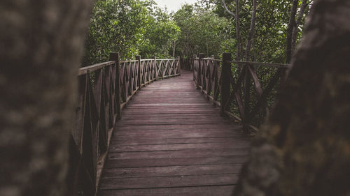 Wooden footbridge in forest