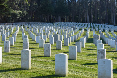 Row of tombstones in cemetery