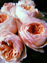 Close-up of rose bouquet
