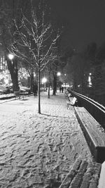 Bare trees in city at night during winter