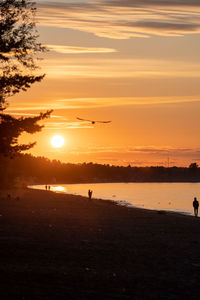Scenic view of beach against sky during sunset