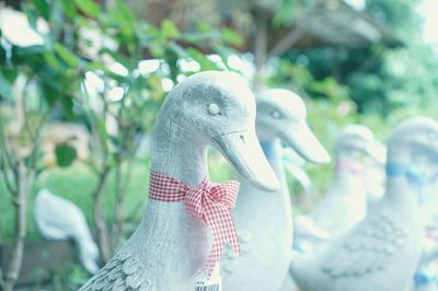 Close-up of statue against blurred background