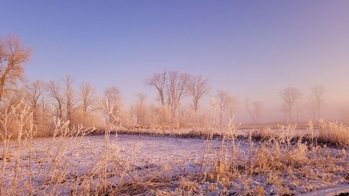 Scenic view of snow covered field against clear sky