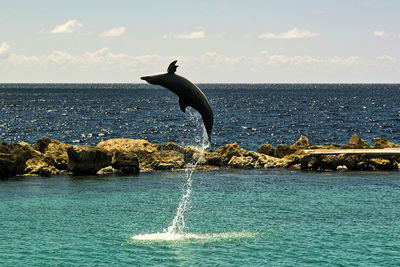 Bird jumping over sea against sky