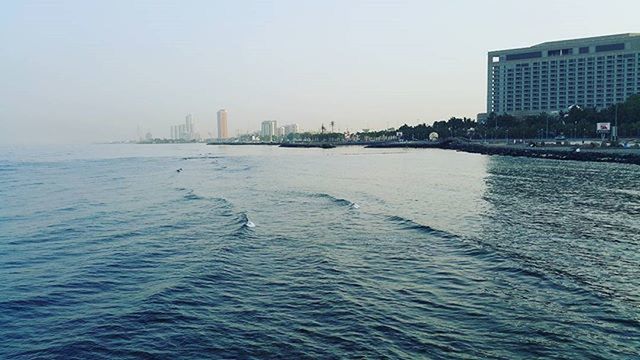 water, building exterior, architecture, built structure, waterfront, city, sea, clear sky, rippled, copy space, cityscape, bird, skyscraper, river, sky, urban skyline, tower, day, mid distance, outdoors