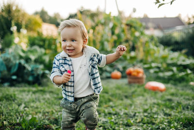 A little boy is playing in the garden against the background of pumpkin beds