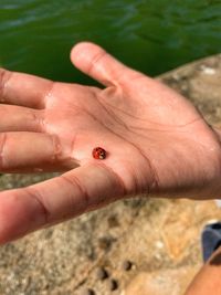 Close-up of human hand on finger
