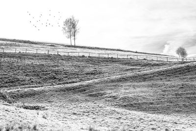 View of rural landscape